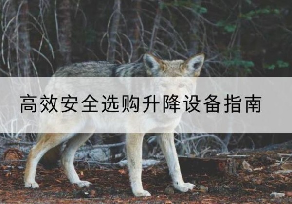 万全升降货梯厂家推荐-*安全选购升降设备指南