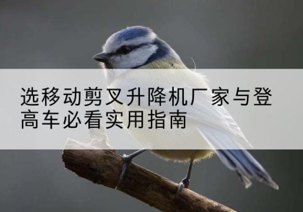 万全电动升降机厂家-选移动剪叉升降机厂家与登高车必看实用指南