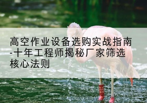万全剪叉式升降机厂家-高空作业设备选购实战指南-十年工程师揭秘厂家筛选核心法则